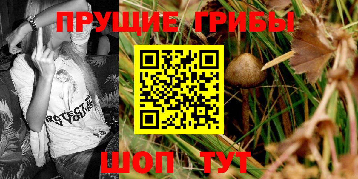 Галлюциногенные грибы GOLDEN TEACHER  Галлюциногенные грибы MAGIC MUSHROOMS  Вход с VPN  Добрянка 
