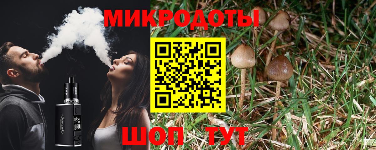 Галлюциногенные грибы мухоморы Добрянка